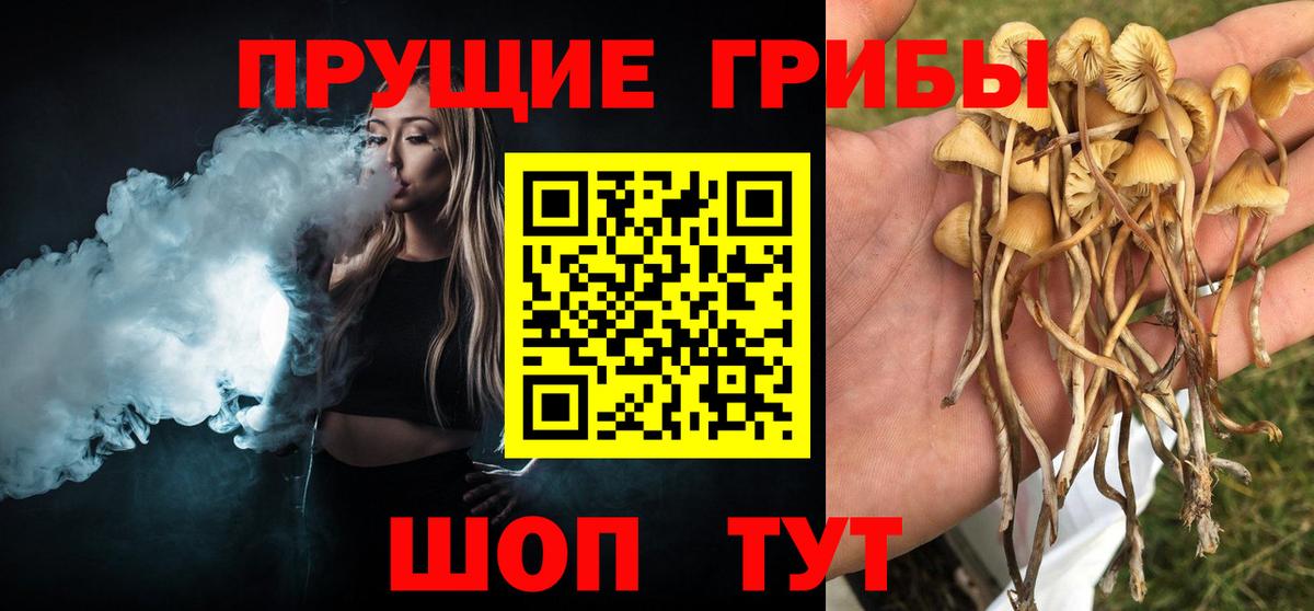 Галлюциногенные грибы ЛСД  Вход с VPN  Белогорск 