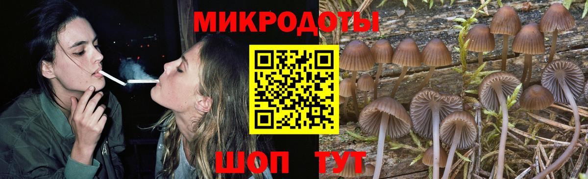 Галлюциногенные грибы GOLDEN TEACHER Белогорск